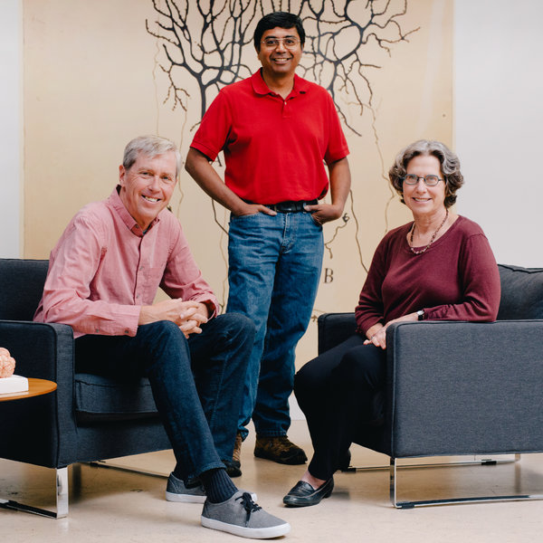 Джефф Хокинс наконец готов объяснить свои исследования мозга - 4 Джефф Хокинс наконец готов объяснить свои исследования мозга - 4