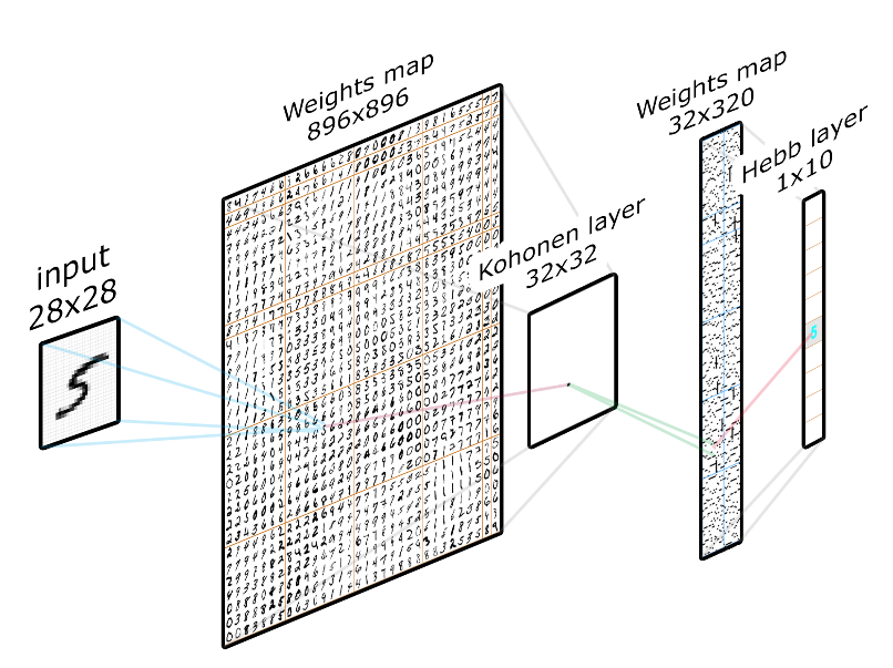 Обучение живых и «биологичная» нейронная сеть - 8 Обучение живых и «биологичная» нейронная сеть - 8