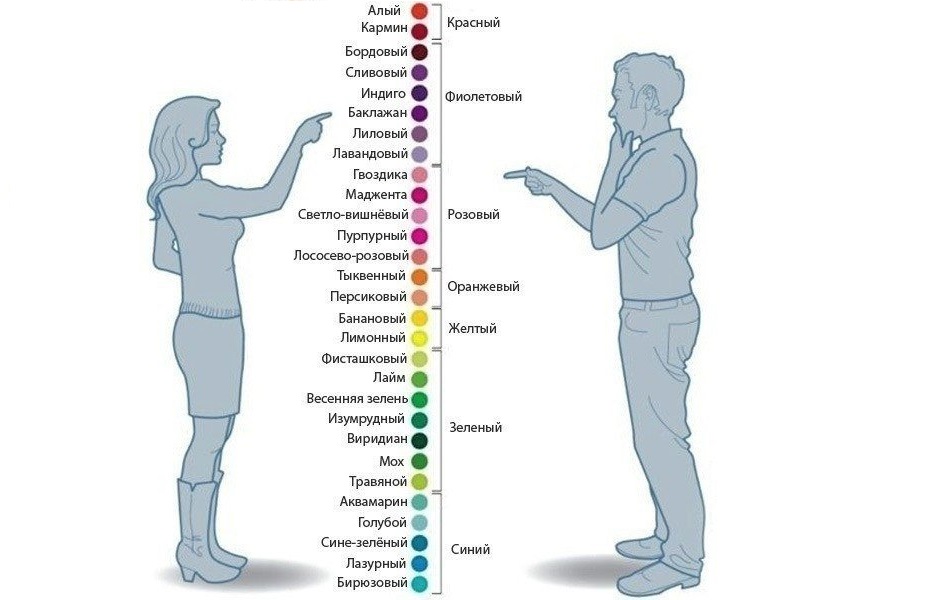 Обучение живых и «биологичная» нейронная сеть - 1 Обучение живых и «биологичная» нейронная сеть - 1