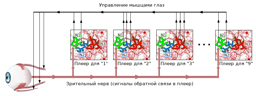  Рис. 9. Распознавание одной из нескольких цифр.