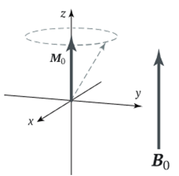 Рисунок 7. Разложение магнитного момента на составляющие вдоль осей системы координат.    M0 здесь – z-компонента вектора m  [2]