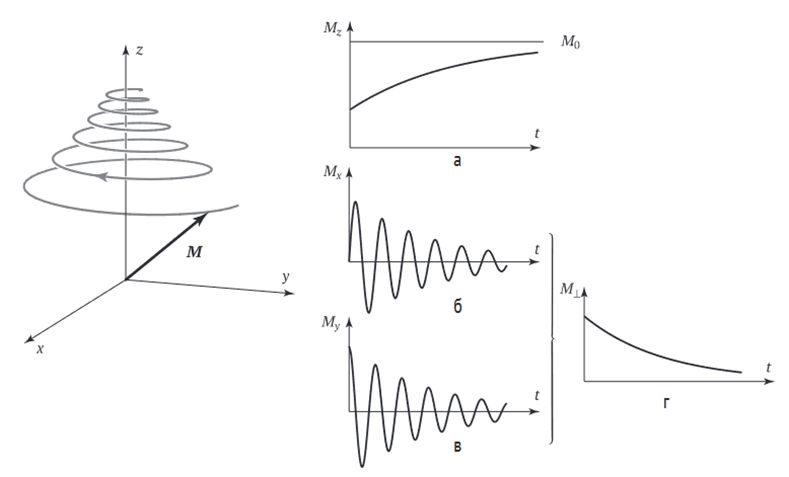 Рисунок 8. Возвращение компонент вектора магнитного момента в исходное состояние при релаксации [2]