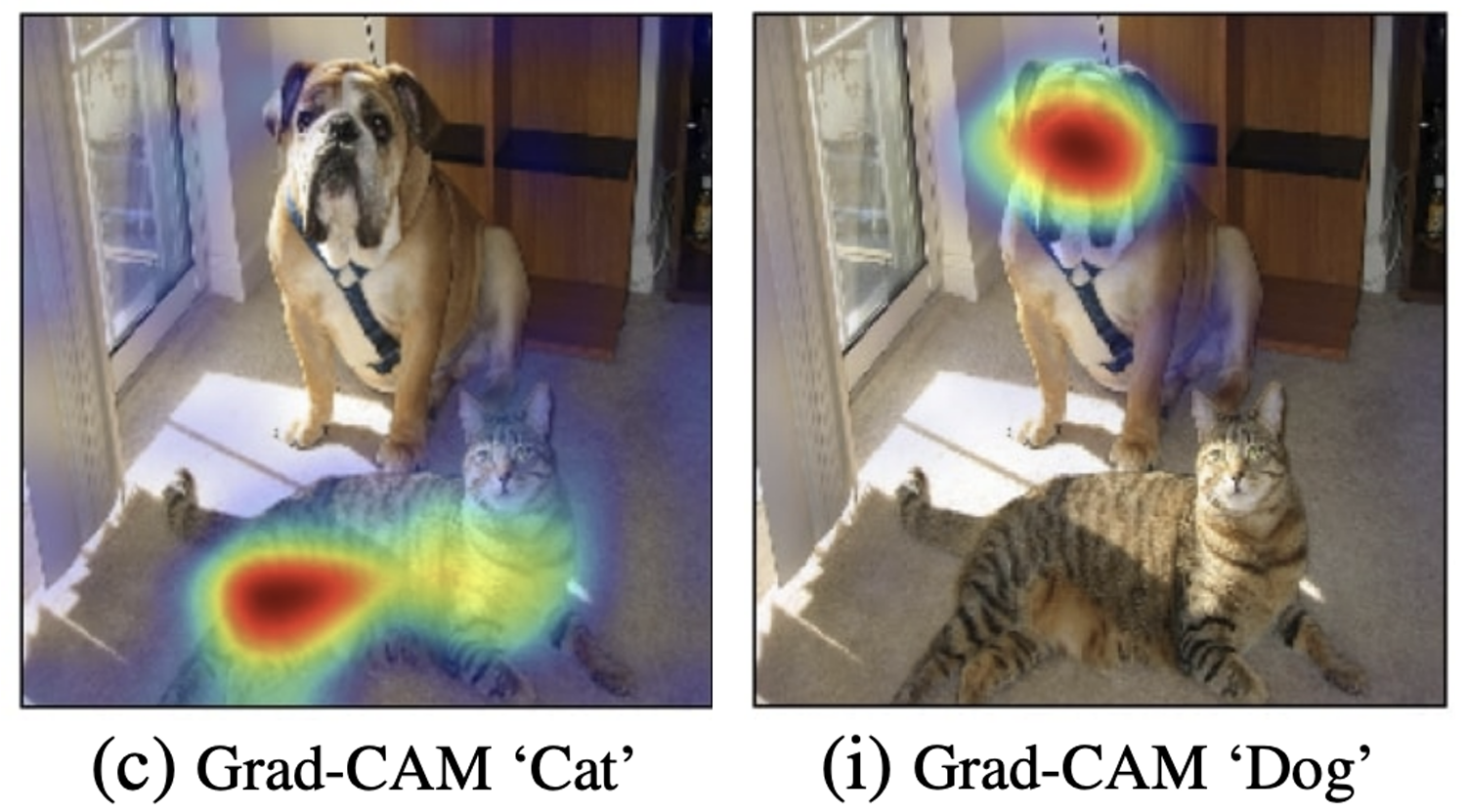 Что такое интерпретируемость машинного обучения? - 1 Что такое интерпретируемость машинного обучения? - 1