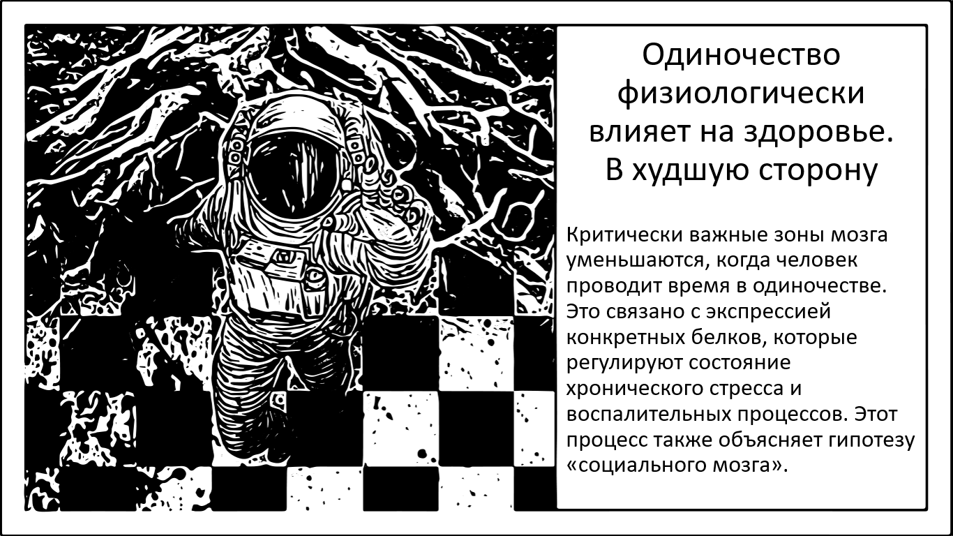 Социализация и здоровье мозга - 1