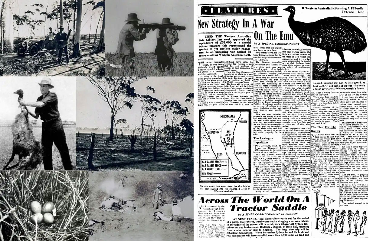 Когда тестирование пропущено, а канареечный деплой не состоялся: инвазивные проблемы Австралии - 9 Когда тестирование пропущено, а канареечный деплой не состоялся: инвазивные проблемы Австралии - 9