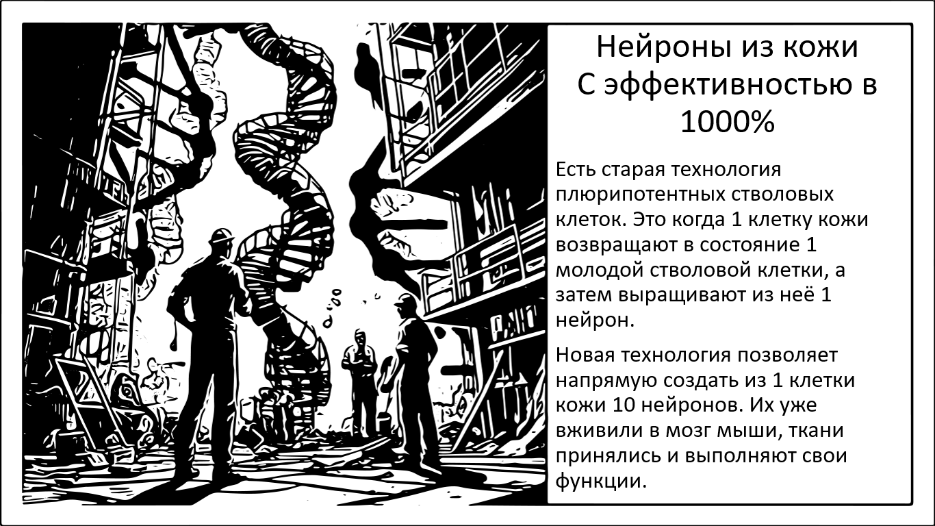 Трансформация клеток кожи в функциональные нейроны - 1 Трансформация клеток кожи в функциональные нейроны - 1