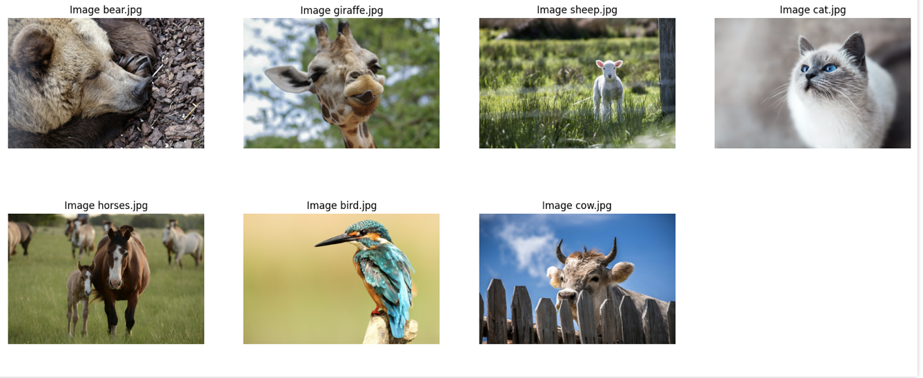 Да, у нас снова практика с красивыми животными! 