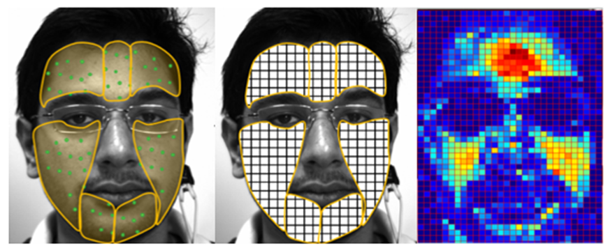 Рисунок 10 [35]. Отслеживание 7 регионов (а), их разделение на квадраты (б) и подсчет качества сигнала в каждом из квадратов (в).