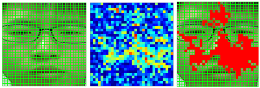 Рисунок 11 [36]. Разделение кадров области интереса на квадраты (a), подсчет качества сигнала в каждом из квадратов (б) и выбор квадратов с наилучшим качеством.