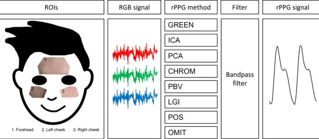 Рисунок 3. Стандартные этапы при дистанционной фотоплетизмографии: выбор области интереса, подсчет RGB-сигнала, применение одного из алгоритмов для получения пульсового сигнала, его фильтрация и подсчет частоты сердечных сокращений [30].