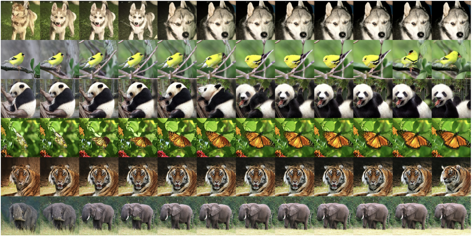 Градация степени guidance, от 0 (слева) до 5.5 (справа), seed зафиксирован. Источник