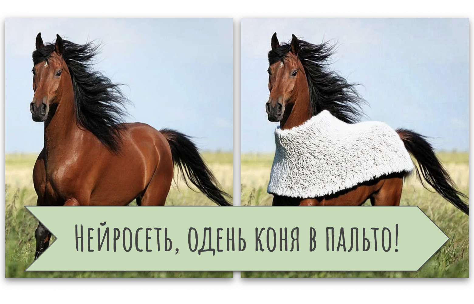 Как мы коня в пальто одевали. Neural Image Editing: Часть 1 — от инпейнтинга до DDIM Inversion - 1 Как мы коня в пальто одевали. Neural Image Editing: Часть 1 — от инпейнтинга до DDIM Inversion - 1