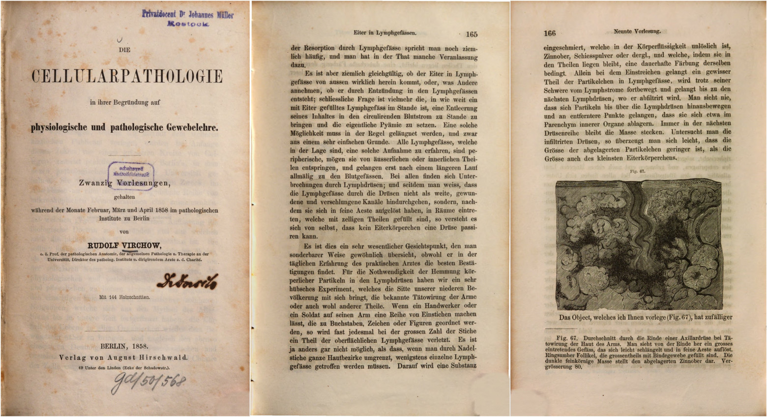 Die Cellularpathologie in ihrer Begründung auf physiologische und pathologische Gewebelehre: 20 VorlesungenApril 1858 im Patholog. Inst. zu Berlin Die Cellularpathologie in ihrer Begründung auf physiologische und pathologische Gewebelehre: 20 VorlesungenApril 1858 im Patholog. Inst. zu Berlin