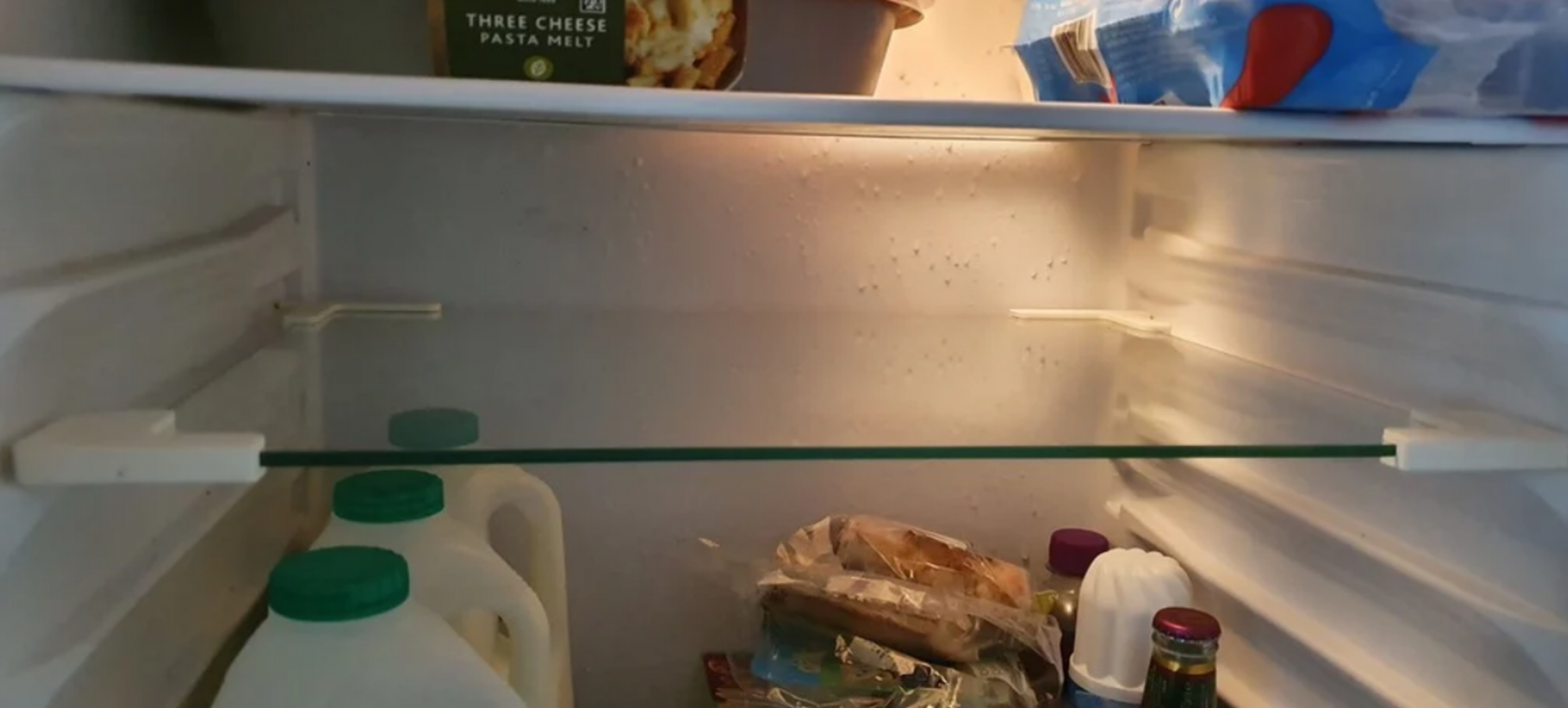 Крепления для полок, ручка для пылесоса и силовая броня из Fallout 4: что мне удалось создать при помощи AnkerMake 5M - 4 Крепления для полок, ручка для пылесоса и силовая броня из Fallout 4: что мне удалось создать при помощи AnkerMake 5M - 4