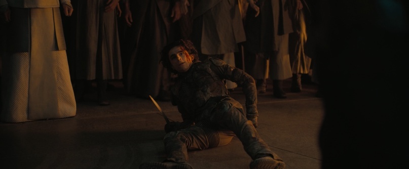 В защиту «Дюны» Вильнева - 43 В ЗАЩИТУ «ДЮНЫ» ВИЛЬНЁВА, изображение №43