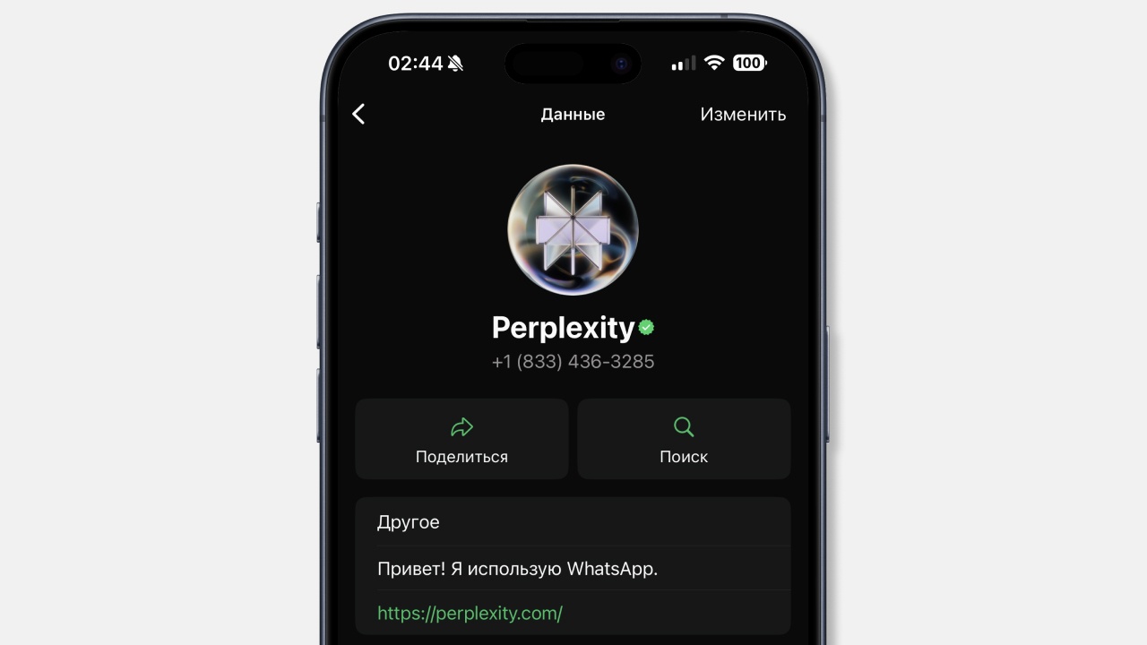 Чат-бот Perplexity стал доступен в WhatsApp - 1 Чат-бот Perplexity стал доступен в WhatsApp - 1