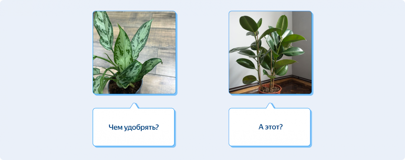 Как мы учили Алису видеть мир с помощью мультимодальной нейросети Яндекса - 10 Как мы учили Алису видеть мир с помощью мультимодальной нейросети Яндекса - 10