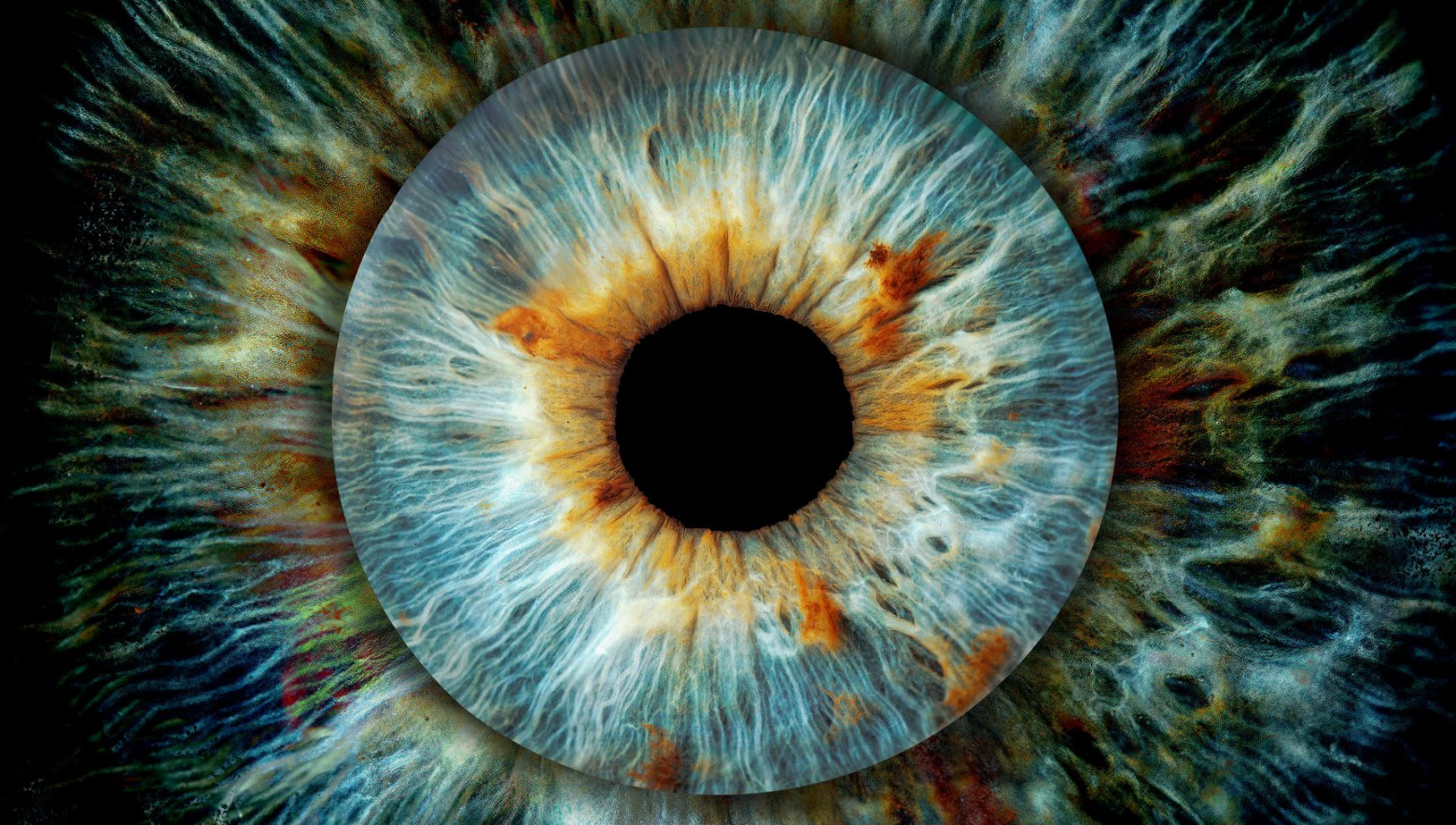 Дайджест новостей из мира биологии за прошедшую неделю - 3