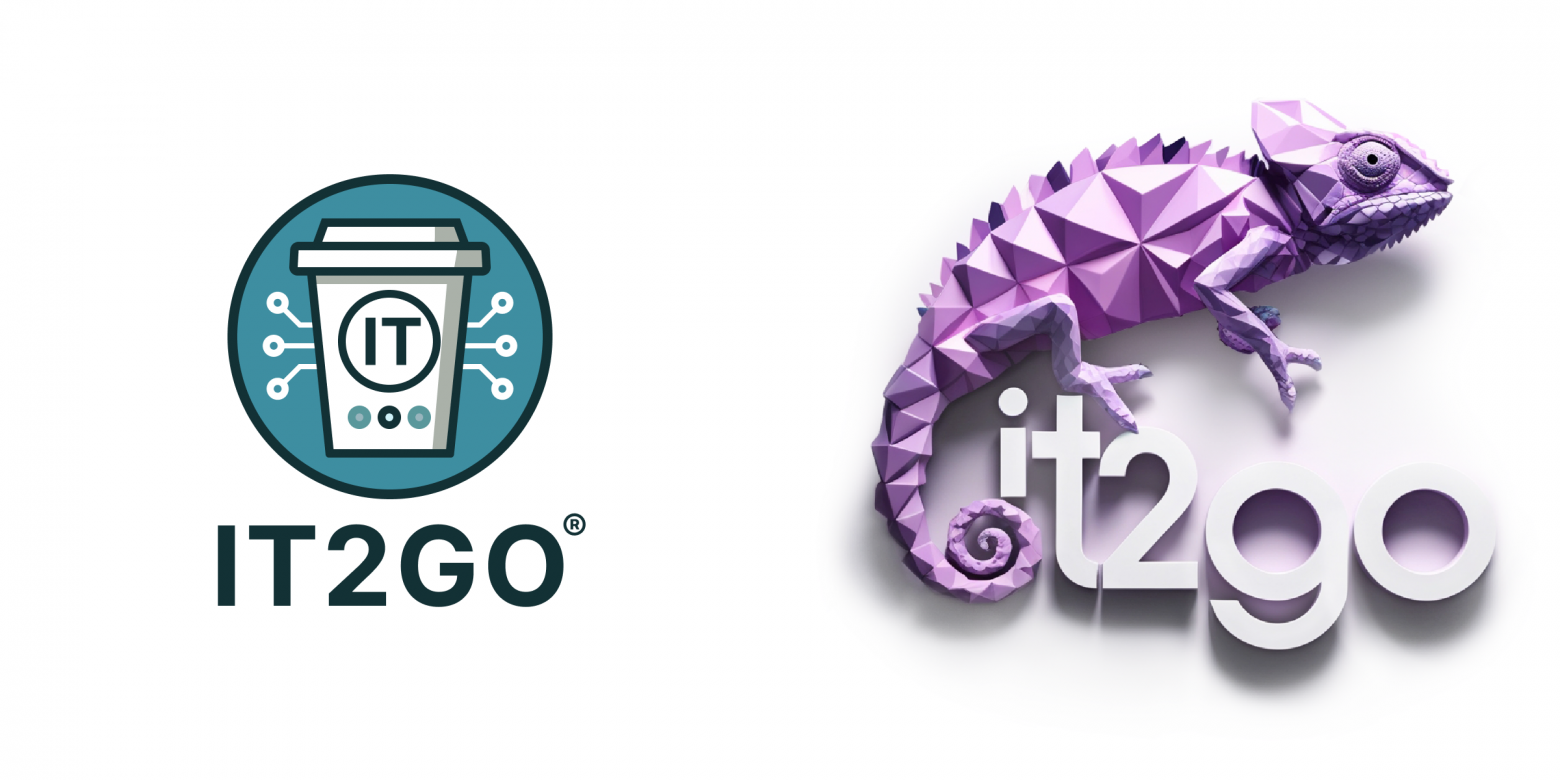 Варианты нашего логотипа, предложенные выпускниками ИТ-школы на конкурсе 