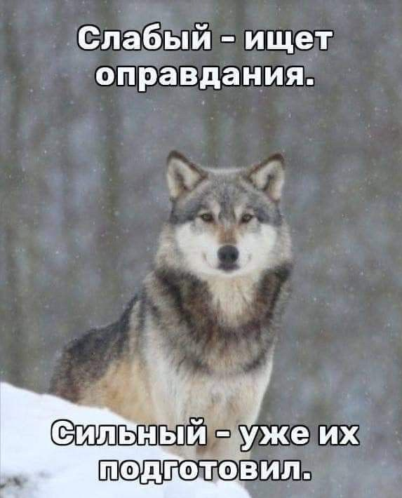 Как мы создавали ИТ-школу с нуля: ошибки, инсайты и уроки, которые мы извлекли (часть 1) - 4