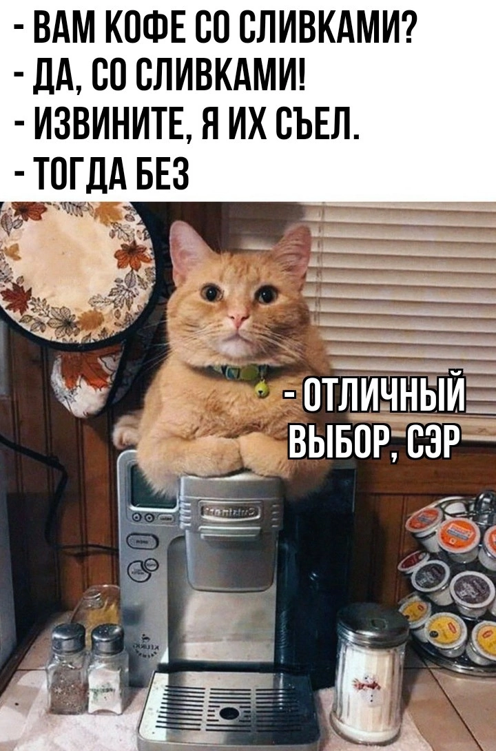 Так выглядели мы перед бизнес-заказчиками на этапе запуска ИТ-школы