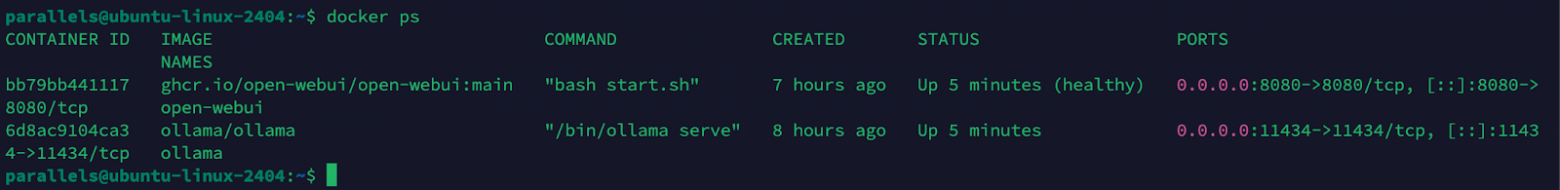 За полчаса установил DeepSeek 1.5B, пока вы искали GPT подешевле - 8