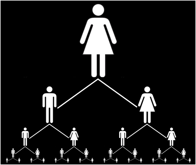 Концепция Человек-Род-Государство - 4 Концепция Человек-Род-Государство - 4