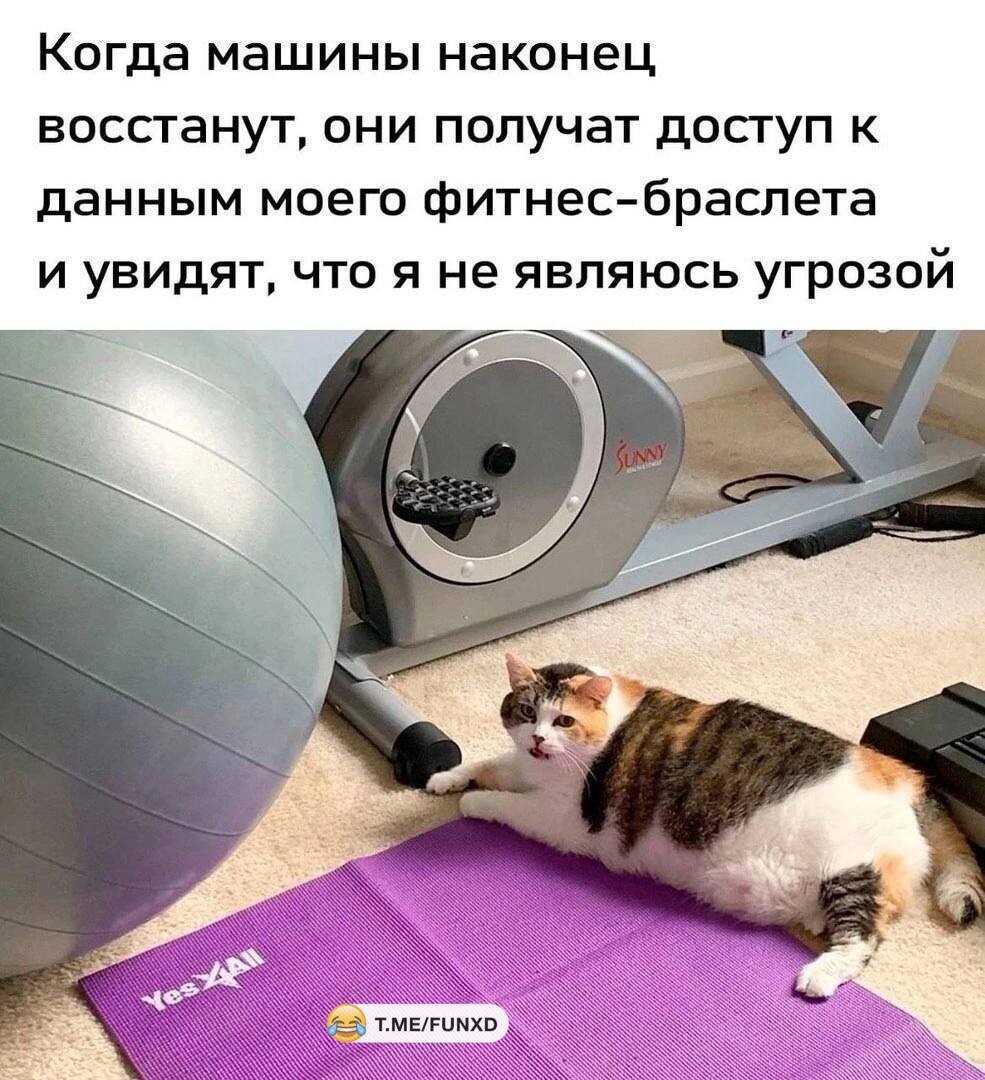 Новости кибербезопасности за неделю с 12 по 18 мая 2025 - 5 Новости кибербезопасности за неделю с 12 по 18 мая 2025 - 5