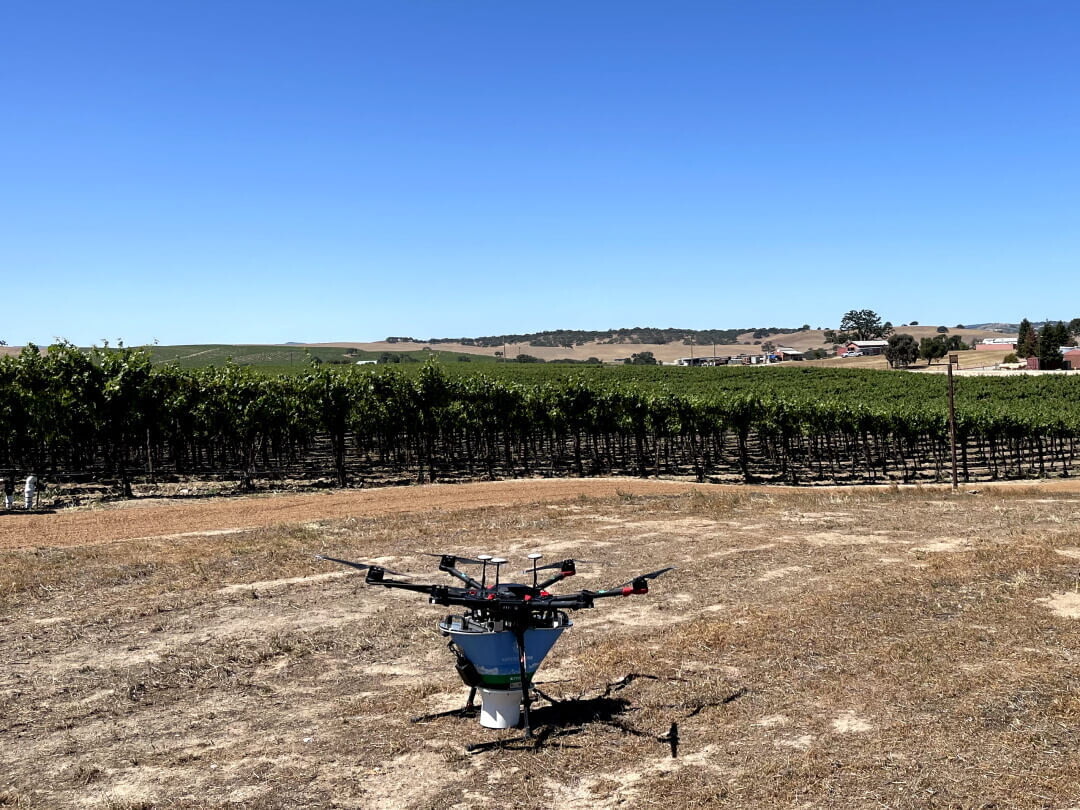 Дрон с удобрениями готовится к взлету. Источник  