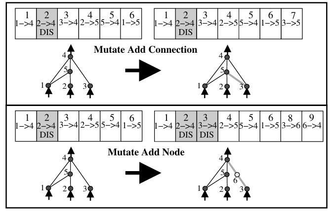 Иллюстрация добавления нейронов и связей