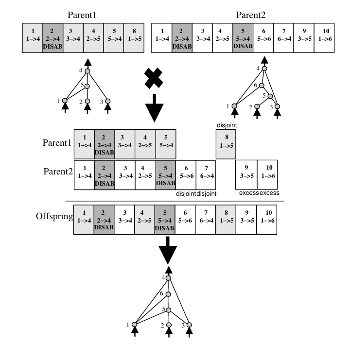 NEAT. Основы - 4