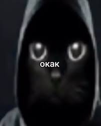 Говорить они умеют, слышать умеют, видеть умеют. Осталось только начать ходить…  