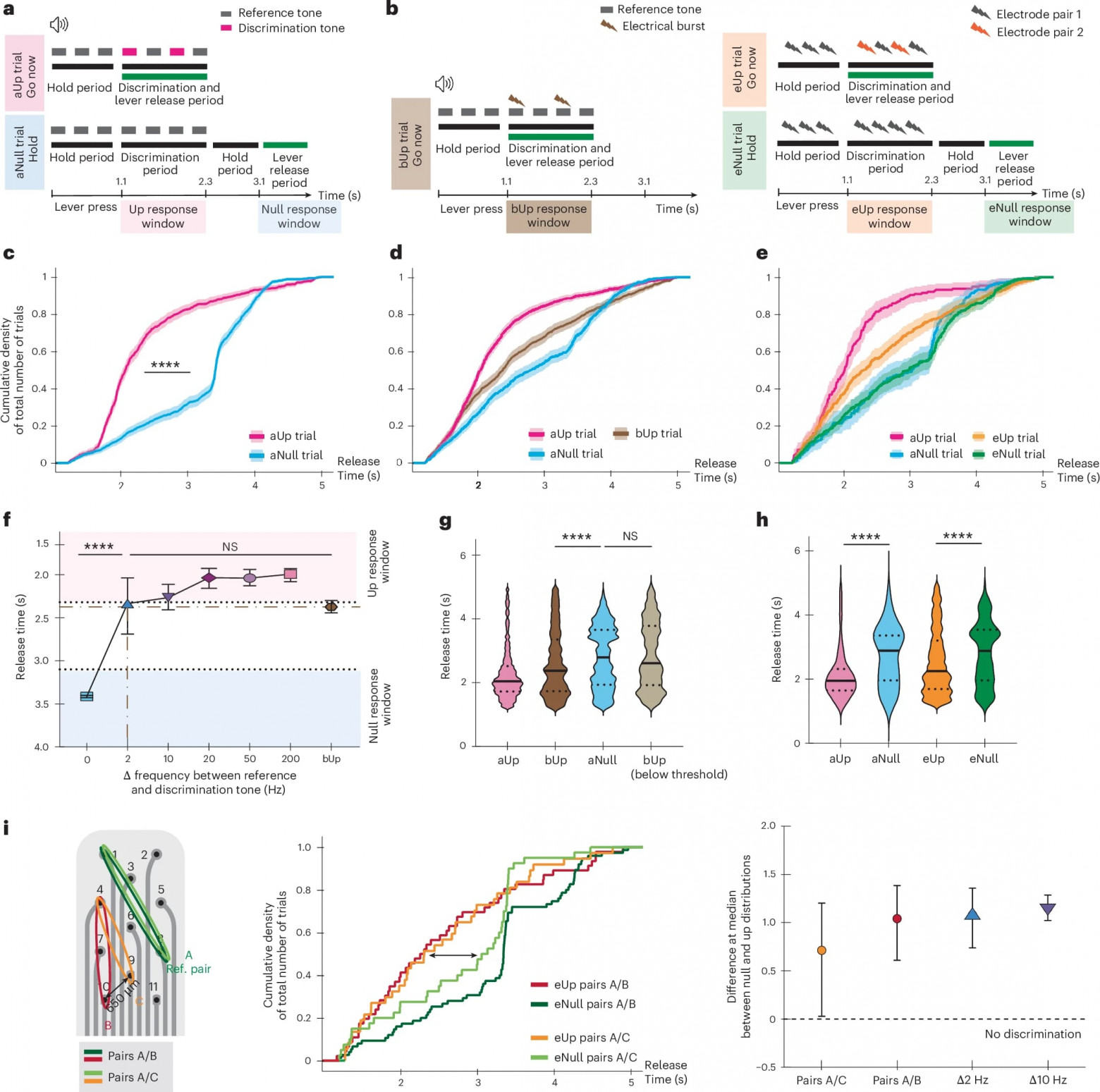 Восстановление слуха: мягкий слуховой стволомозговой имплант - 5