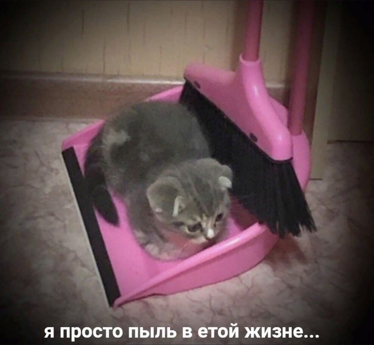 Реализм против Теории Пыли, или как изгнать Демона Второго Рода из Вавилонской библиотеки - 12