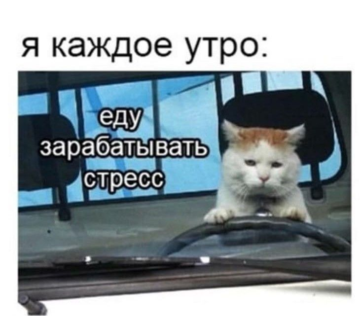 Как перепрошить мозг после выгорания: BDNF, стресс и мышление - 2