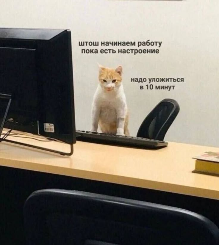 Как перепрошить мозг после выгорания: BDNF, стресс и мышление - 6