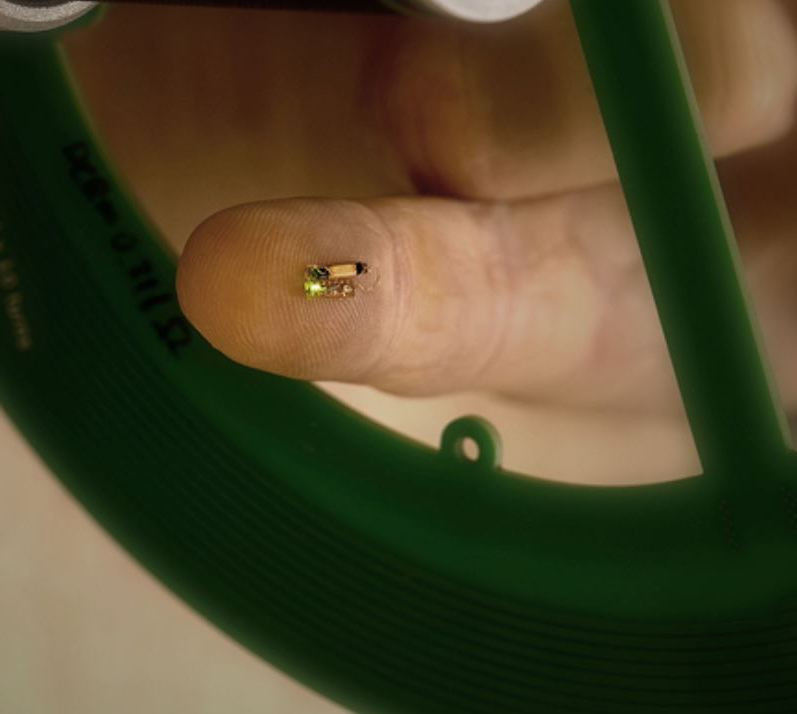 Сооснователь Valve представил план запуска нейрочипа Starfish Neuroscience в конце 2025 года - 1 Сооснователь Valve представил план запуска нейрочипа Starfish Neuroscience в конце 2025 года - 1