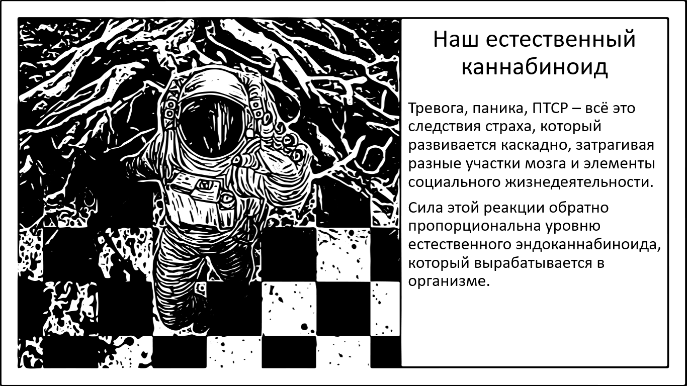 Естественный каннабиноид, регулирующий панический страх. Новый ключ к ПТСР и лечению тревожности - 1