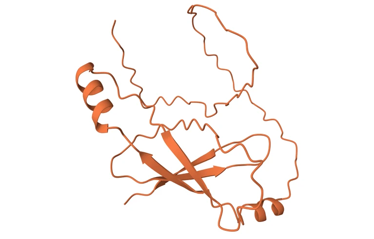  «Ужасный белок»: журналист Юэн Каллауэй создал модель языка белков (PLM) и использовал инструкции базового кода для создания этого белка.