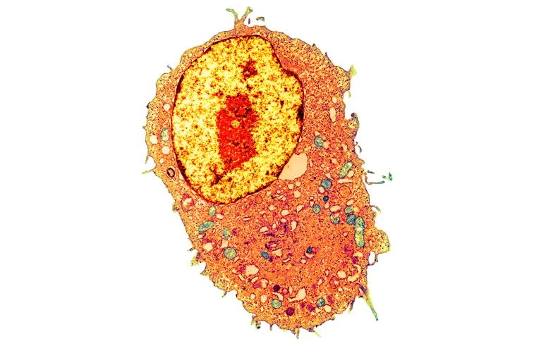 Я попросил ИИ спроектировать белок, и вот, что у него получилось - 3 Поговорите с клетками: Модели искусственного интеллекта позволяют учёным «разговаривать» с клетками, используя обычный язык.