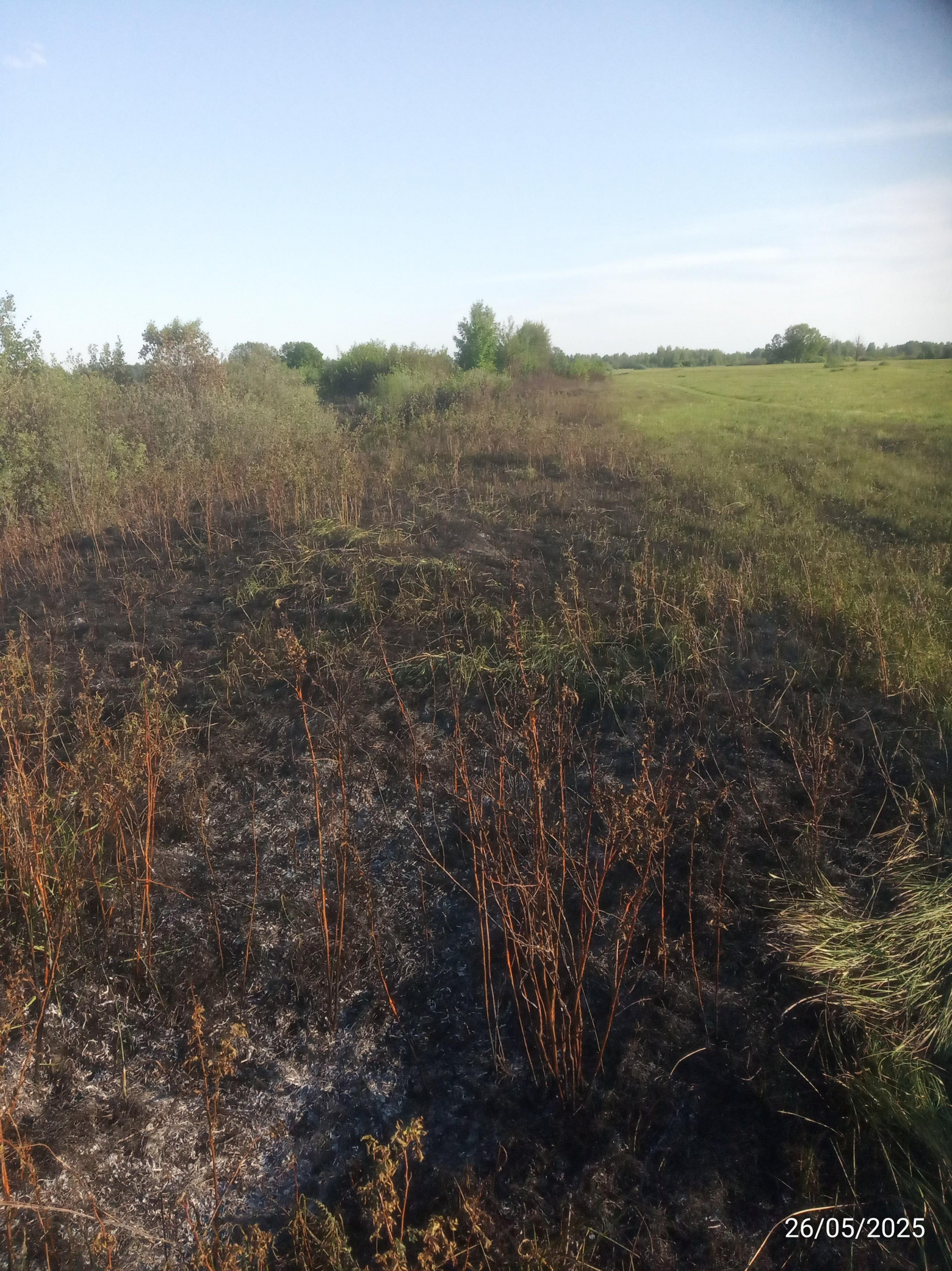 Огонь локализован, правая полоса. За кустами слева ~ такая же полоса. Огонь локализован, правая полоса. За кустами слева ~ такая же полоса.