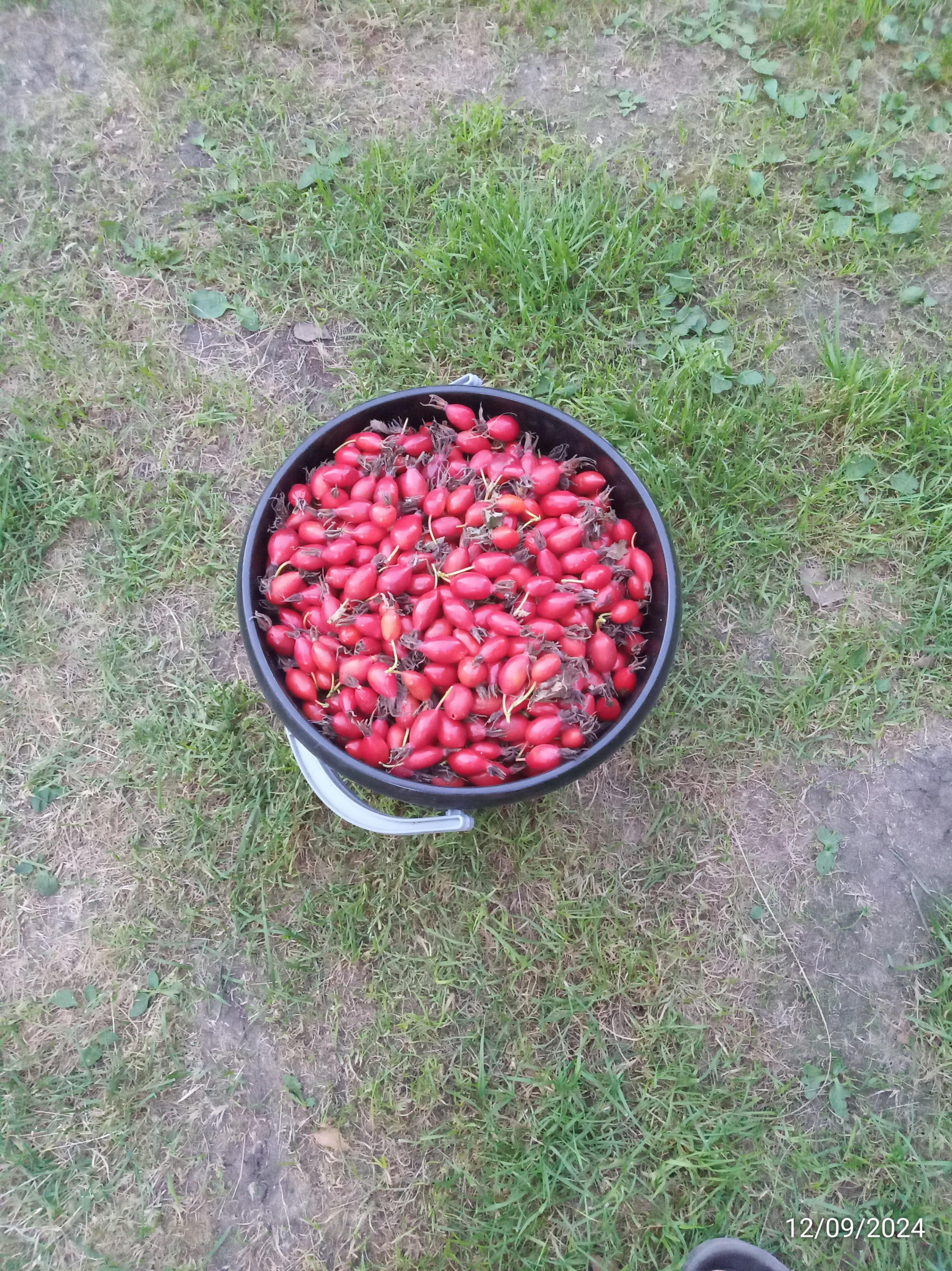 Как я в одиночку в кроссовках и шортах смог остановить распространение огня в заповеднике - 1 Как я в одиночку в кроссовках и шортах смог остановить распространение огня в заповеднике - 1