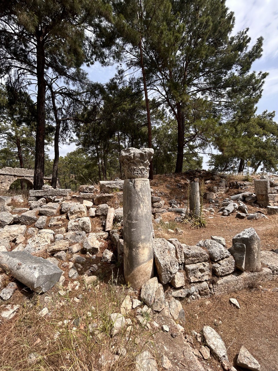 Какой ордер у колонны?