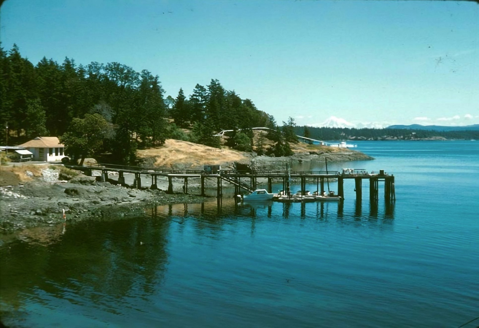  Университет Вашингтона, лаборатория Фрайдей Харбор, 1961 год