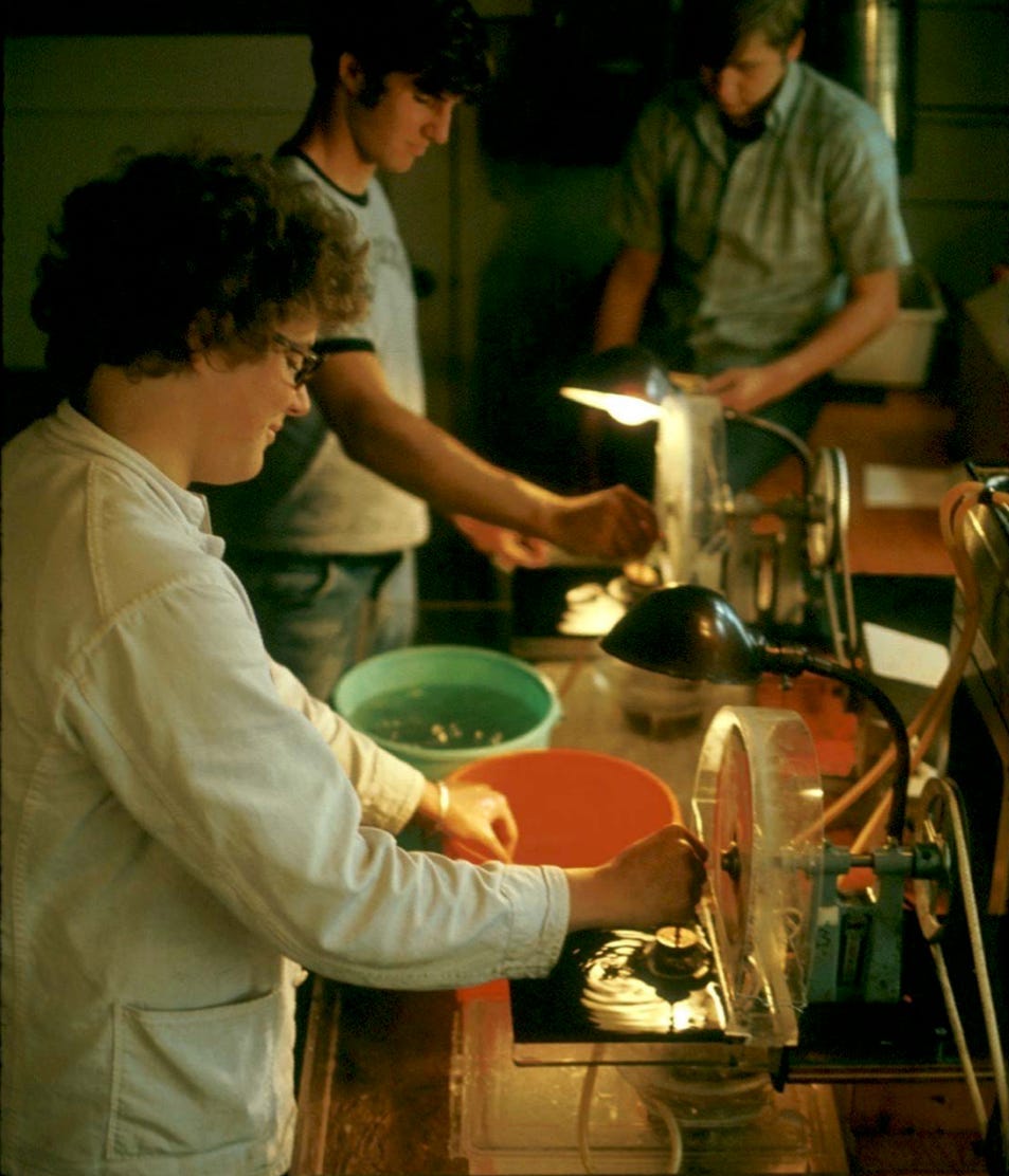 Краткая история зелёного флуоресцентного белка - 9