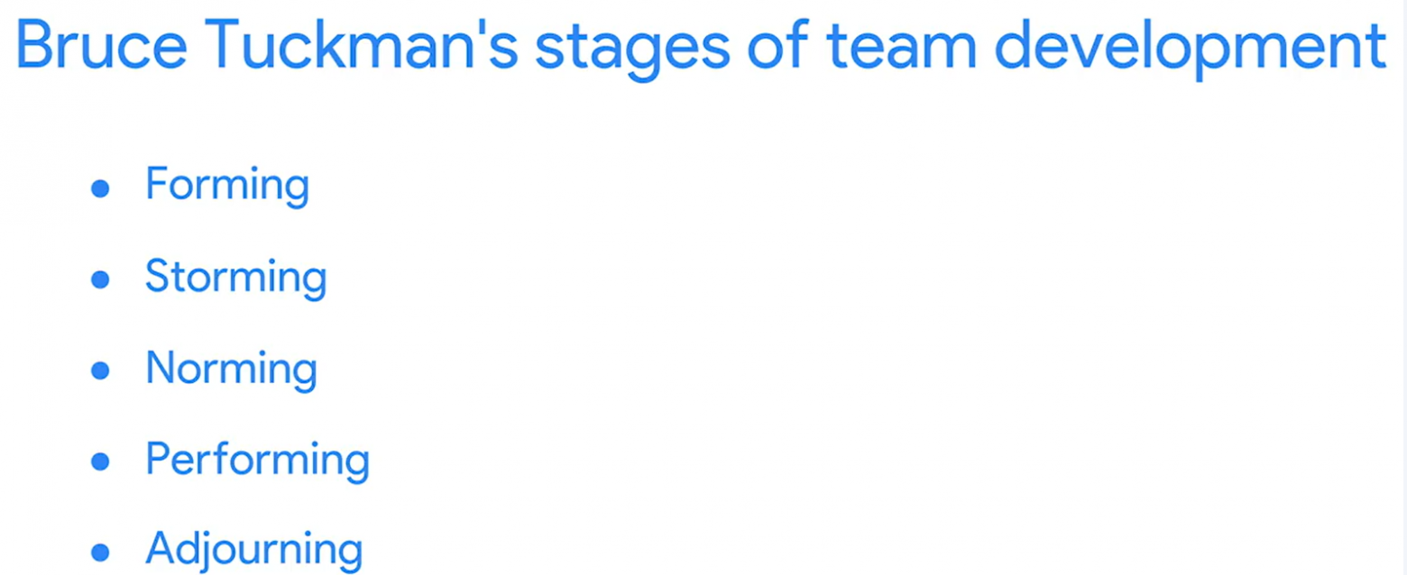 пять стадий развития команды   