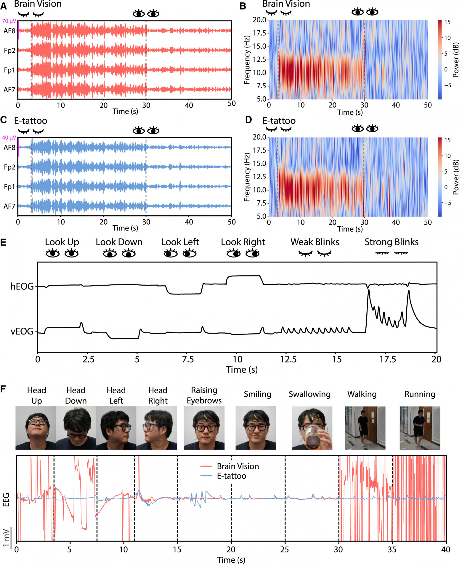 ЭЭГ с альфа-фильтрацией и спектрограммы от (A и B) Brain Vision и (C и D) электронной тату на лбу, одновременно измеренные во время теста с открытыми-закрытыми глазами. (E) Горизонтальная и вертикальная ЭОГ, измеренная при различных движениях глаз и морганиях. (F) Показатели Brain Vision (красный) и татуировки (голубой), измеренные ЭЭГ при различных движениях головы, выражениях лица и движениях при ходьбе.