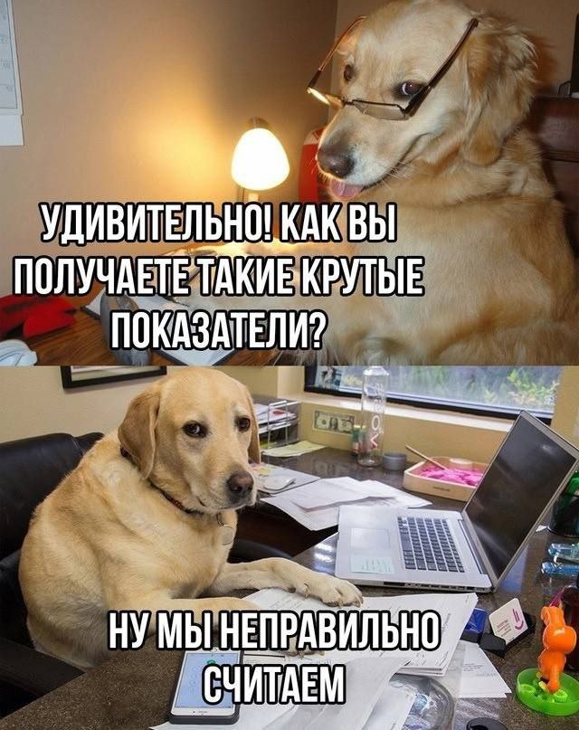 FEDOT, да не тот - 6