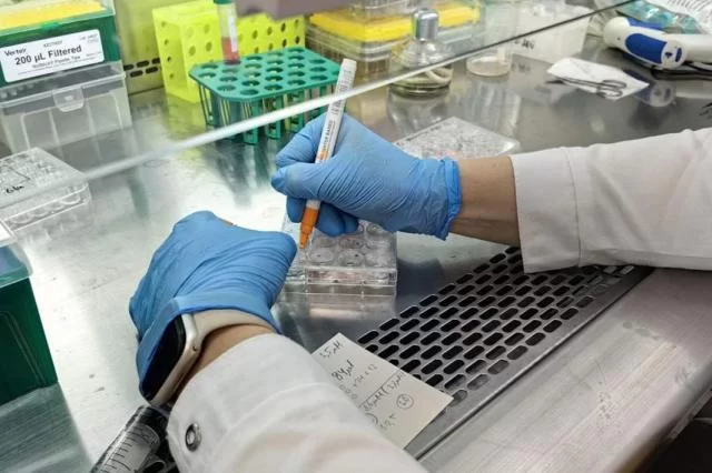 Достижения российских ученых в первой половине 2025 года - 6 Достижения российских ученых в первой половине 2025 года - 6