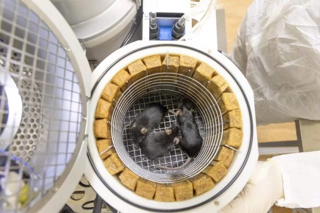 Достижения российских ученых в первой половине 2025 года - 9 Достижения российских ученых в первой половине 2025 года - 9